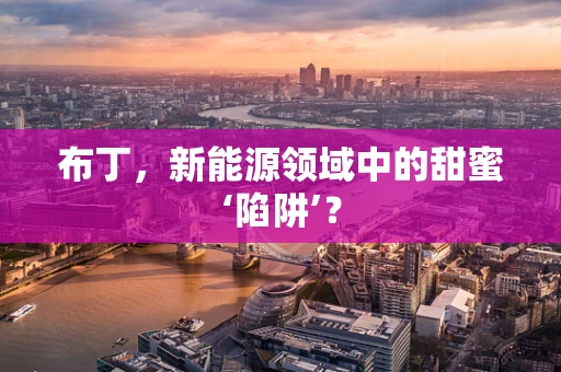 布丁，新能源领域中的甜蜜‘陷阱’？