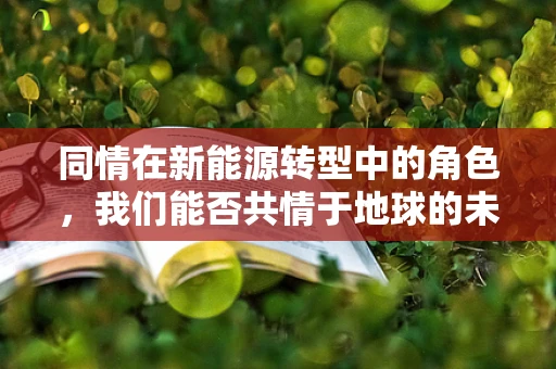 同情在新能源转型中的角色，我们能否共情于地球的未来？