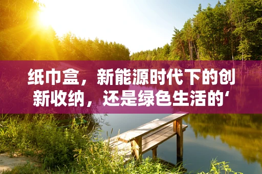 纸巾盒，新能源时代下的创新收纳，还是绿色生活的‘盲点’？