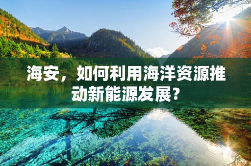 海安，如何利用海洋资源推动新能源发展？