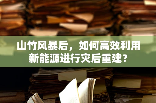 山竹风暴后，如何高效利用新能源进行灾后重建？