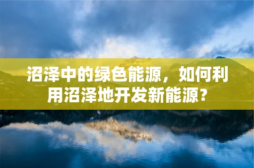 沼泽中的绿色能源，如何利用沼泽地开发新能源？