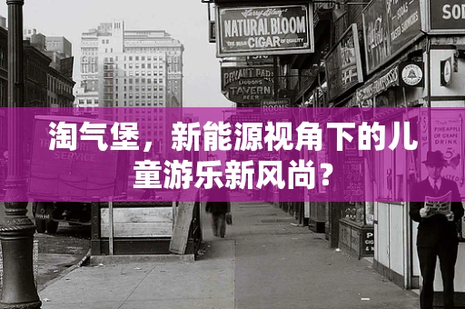 淘气堡，新能源视角下的儿童游乐新风尚？