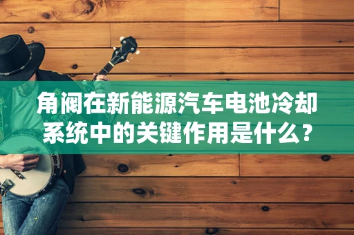 角阀在新能源汽车电池冷却系统中的关键作用是什么？