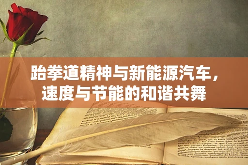 跆拳道精神与新能源汽车，速度与节能的和谐共舞