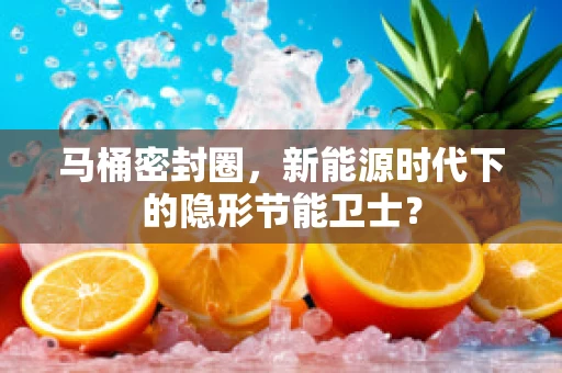 马桶密封圈，新能源时代下的隐形节能卫士？