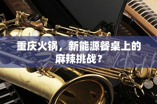 重庆火锅，新能源餐桌上的麻辣挑战？