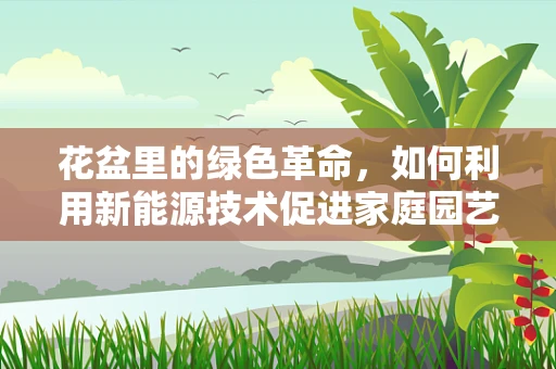 花盆里的绿色革命，如何利用新能源技术促进家庭园艺？