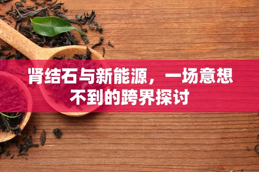 肾结石与新能源，一场意想不到的跨界探讨
