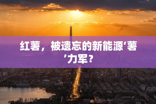 红薯，被遗忘的新能源‘薯’力军？