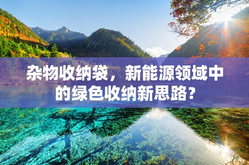 杂物收纳袋，新能源领域中的绿色收纳新思路？