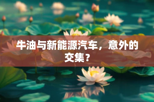牛油与新能源汽车，意外的交集？
