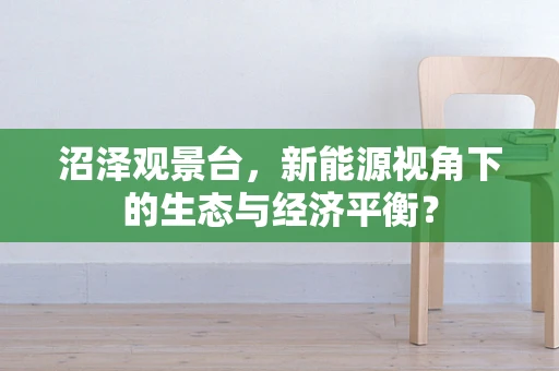 沼泽观景台，新能源视角下的生态与经济平衡？