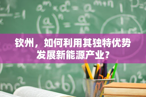 钦州，如何利用其独特优势发展新能源产业？