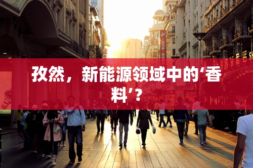 孜然，新能源领域中的‘香料’？