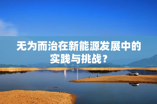 无为而治在新能源发展中的实践与挑战？