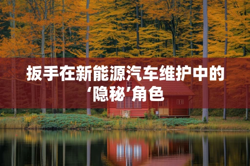 扳手在新能源汽车维护中的‘隐秘’角色