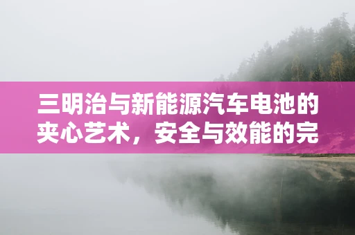 三明治与新能源汽车电池的夹心艺术，安全与效能的完美平衡