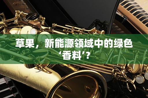 草果，新能源领域中的绿色‘香料’？
