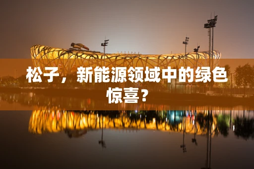 松子，新能源领域中的绿色惊喜？