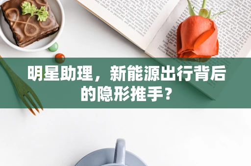 明星助理，新能源出行背后的隐形推手？