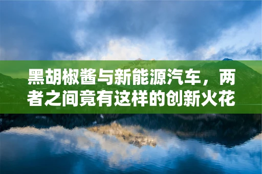 黑胡椒酱与新能源汽车，两者之间竟有这样的创新火花？
