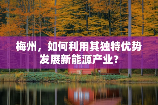 梅州，如何利用其独特优势发展新能源产业？