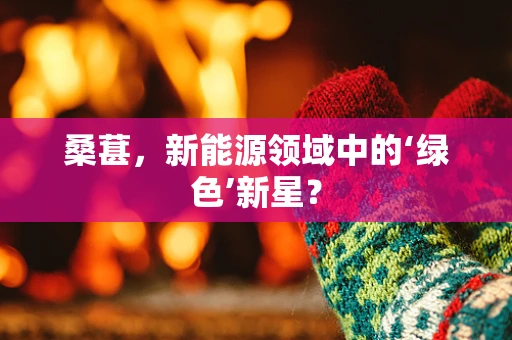桑葚，新能源领域中的‘绿色’新星？