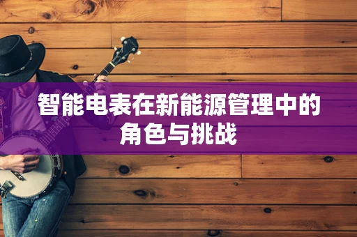 智能电表在新能源管理中的角色与挑战