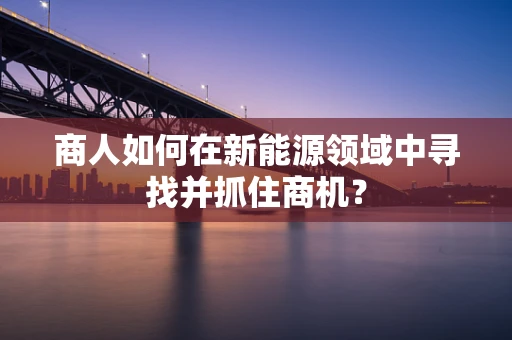 商人如何在新能源领域中寻找并抓住商机？