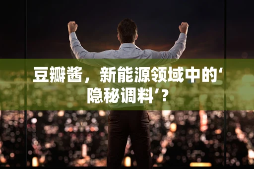 豆瓣酱，新能源领域中的‘隐秘调料’？