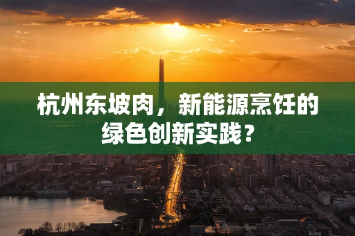 杭州东坡肉，新能源烹饪的绿色创新实践？