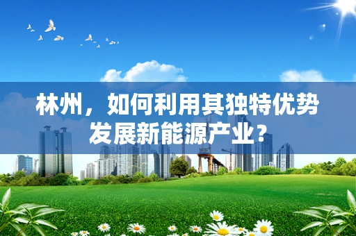 林州，如何利用其独特优势发展新能源产业？