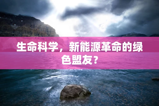 生命科学，新能源革命的绿色盟友？