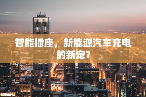 智能插座，新能源汽车充电的新宠？