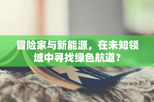 冒险家与新能源，在未知领域中寻找绿色航道？