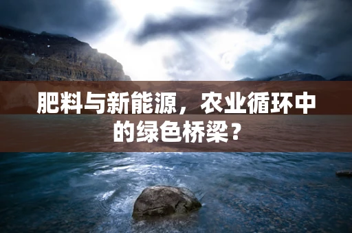 肥料与新能源，农业循环中的绿色桥梁？