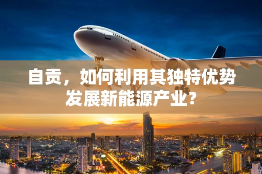 自贡，如何利用其独特优势发展新能源产业？