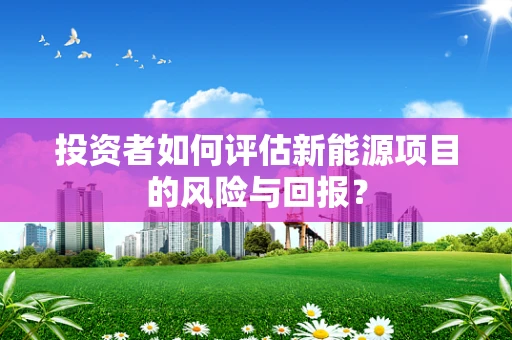 投资者如何评估新能源项目的风险与回报？