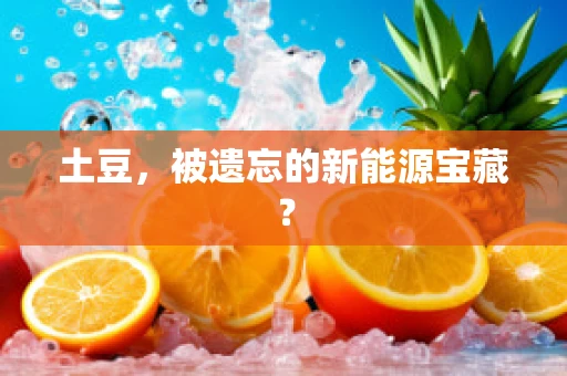 土豆，被遗忘的新能源宝藏？