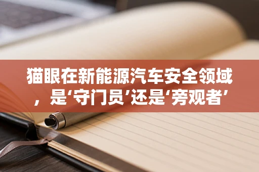 猫眼在新能源汽车安全领域，是‘守门员’还是‘旁观者’？