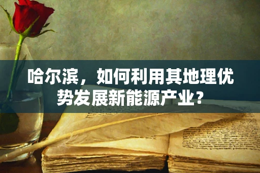 哈尔滨，如何利用其地理优势发展新能源产业？