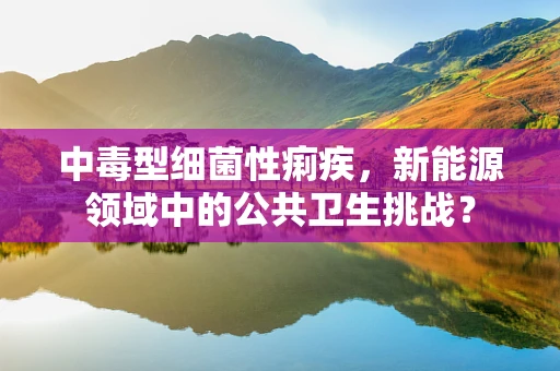 中毒型细菌性痢疾，新能源领域中的公共卫生挑战？