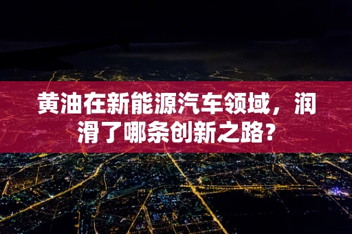 黄油在新能源汽车领域，润滑了哪条创新之路？