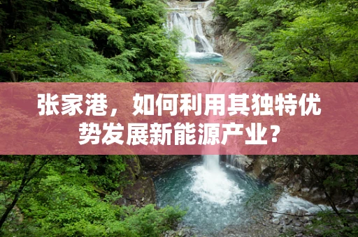 张家港，如何利用其独特优势发展新能源产业？