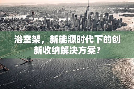 浴室架，新能源时代下的创新收纳解决方案？