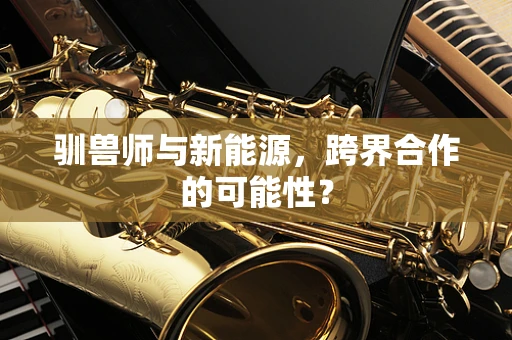 驯兽师与新能源，跨界合作的可能性？