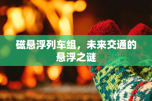 磁悬浮列车组，未来交通的悬浮之谜