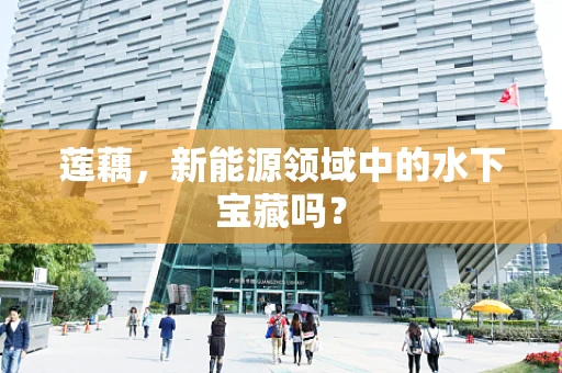 莲藕，新能源领域中的水下宝藏吗？