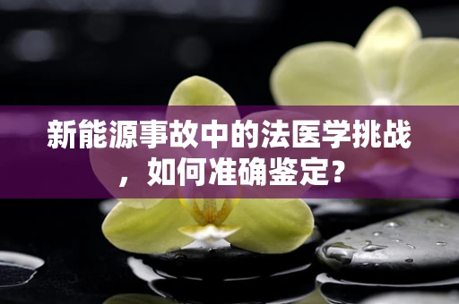 新能源事故中的法医学挑战，如何准确鉴定？